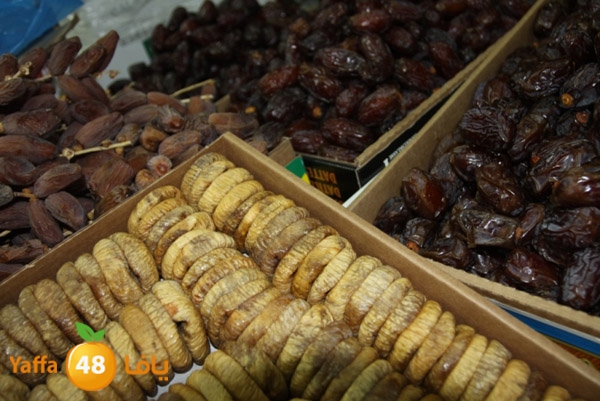 zhra2 tamer 705 (26).JPG